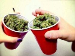 forlosthopes:  It’s Stoner Sunday! Cheers!!