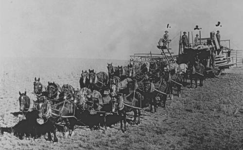 thealy50:Family photo of wheat harvest, 1911, Pendleton, Oregon. 