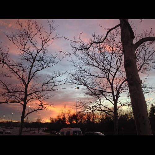 Day 13. Sunset Paints Another Sky. The Cold, Crisp Air Of Winter Holds My Face Tight As My Hands Shake.