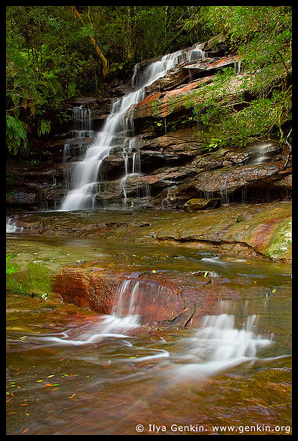Somersby Falls, Central Coast, NSW, Australia by ILYA GENKIN / GENKIN.ORG on Flickr.