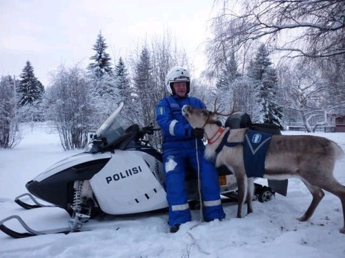 sufinartistwholovesrussia:  salaampuja:  reasons why Finland is cooler than you: