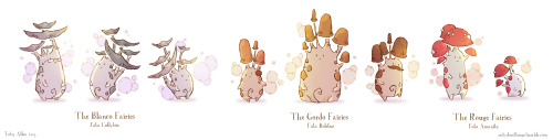 Some of the many species of Mushroom Fairy, showing variations within each species. The collective n
