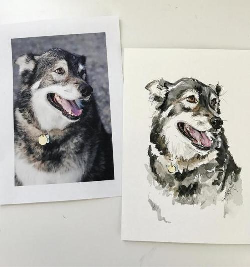 Pet Portrait Commission //SarahPilar