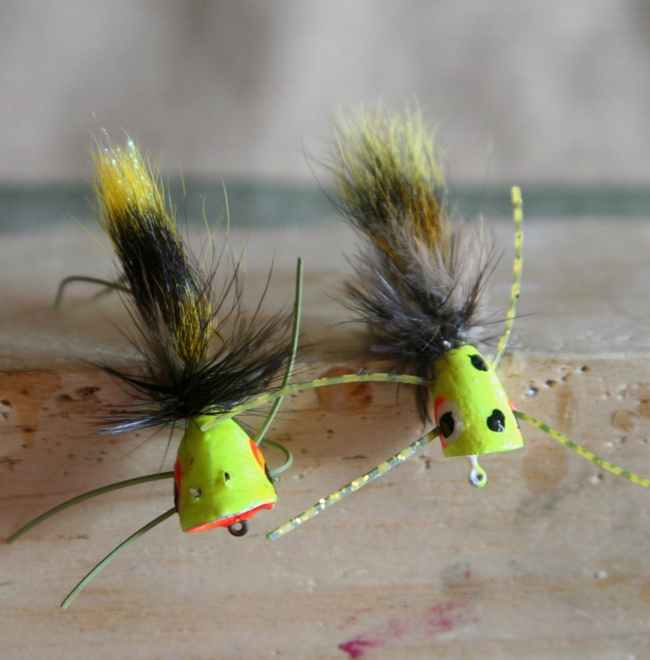 Rod & Barrel • POPPING BUG TIME HAS ARRIVED IN THE EVERGLADES My