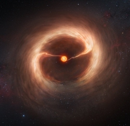 This artist’s impression shows the disc of gas and cosmic dust around the young star HD 142527. Astr