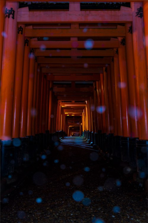 Silent snow at Fushimi Inari Taisha, serene moment captured by @v0_0v______mk