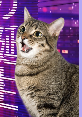 finalfantasyvii: bluesturngold:  finalfantasyvii:  bluesturngold:  finalfantasyvii:  get this fucking cat off of my blog  ok, i’m gonna reblog this post to put the cat on my blog, and then you can delete the original post from your blog thus leaving