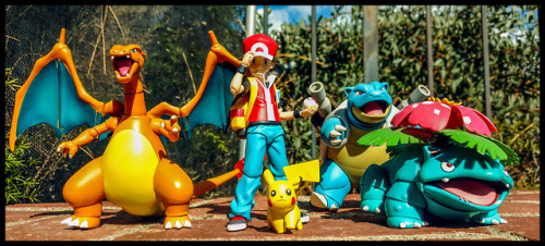 mysticghidorah:Happy Pokemon Day! This picture probably cost hundreds (maybe even thousands) of doll