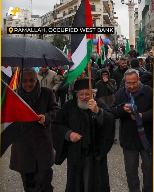 Don't Feel Helpless. You're Not Speaking Up For Palestine Alone. The World, Humanity, Is With You.