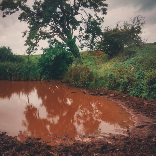 Pwll coch. Somewhere in rural Cardiff, Wales.