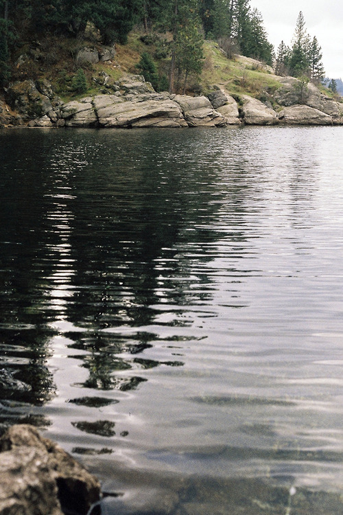 carolinacruz06:  Untitled on We Heart It. https://weheartit.com/entry/76069653/via/wallfloweeeeeerrr 