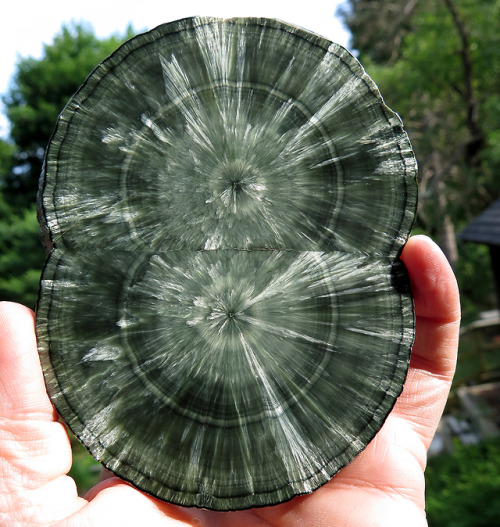 ghminerals: 5.25 inch Twin Seraphinite (Clinochlore) stalactite polished slice, Irkutskaya Oblast, E
