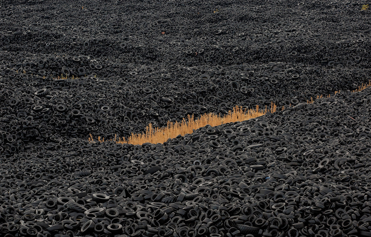 nevver:  Happy Earth Day