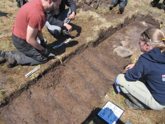 View From Space Hints at a New Viking Site in North America