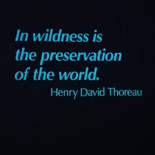 #wilderness #henrydavidthoreau #quote