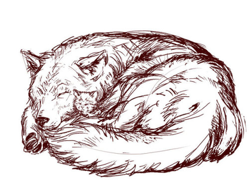 (sneaks a sketch in for @winteriron-week, day 3 prompt - bed sharing)wolf!bucky and kitten!tony, it 