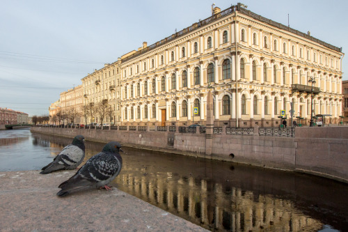 Доброе утро, Петербург! - Good morning, Petersburg! sidartem