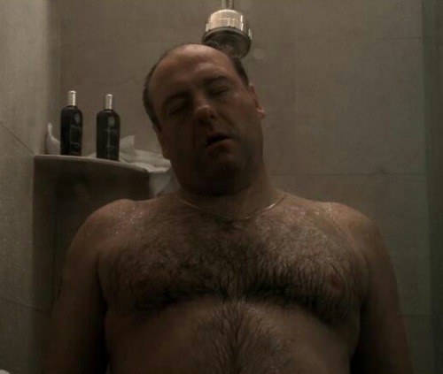 adam-and-celebrity-chubs:  Adam-and-Celebrity-Chubs #21  James Gandolfini  (Actor)