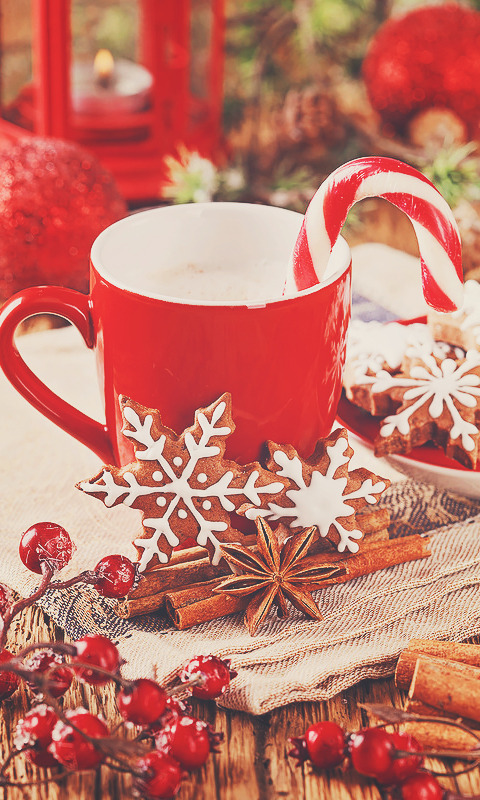 perpetuallychristmas: Christmas Posts 365 days a year (New posts every 5 Minutes!)