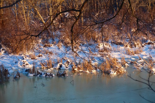 Throughout the Chesapeake Day, the icy, beautiful calm after the storm has created incredible, chill