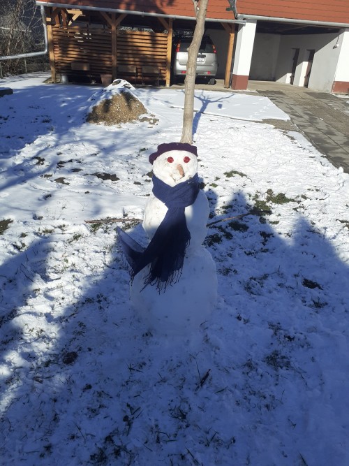 Did It Snow Last Night? Yes.