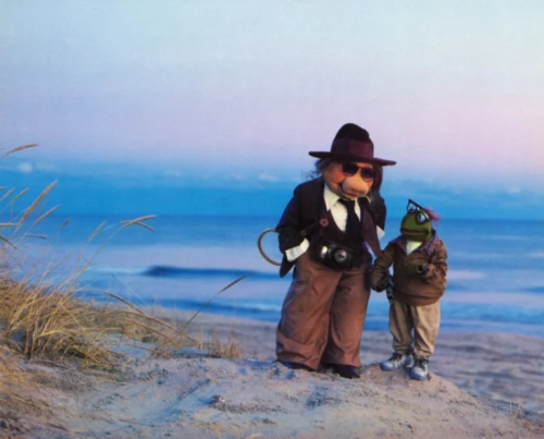 verdetempera:old muppet photoshoots are everything to me