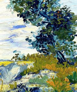 dappledwithshadow:  Van Gogh details