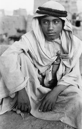 بورتريه لفتى في أراضي قبيلة قحطان. - 1946م.تصوير: ولفريد ثيسجر.