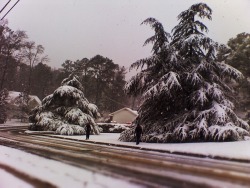 20Jan09Blizzard, NC style