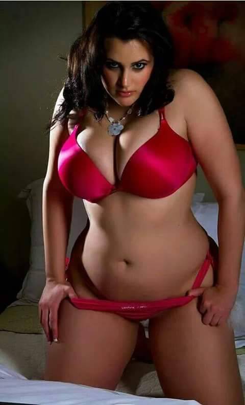 Well rounded beauties