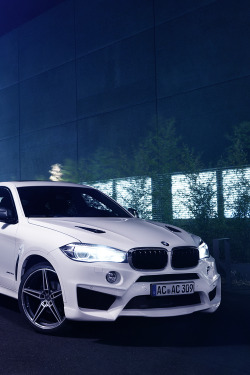 hashpe:  BMW X6 by AC-Schnitzer | © | HP