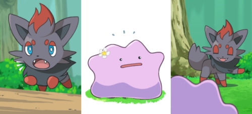 Sex finalsmashcomic: The Tale of Zorua and Ditto pictures