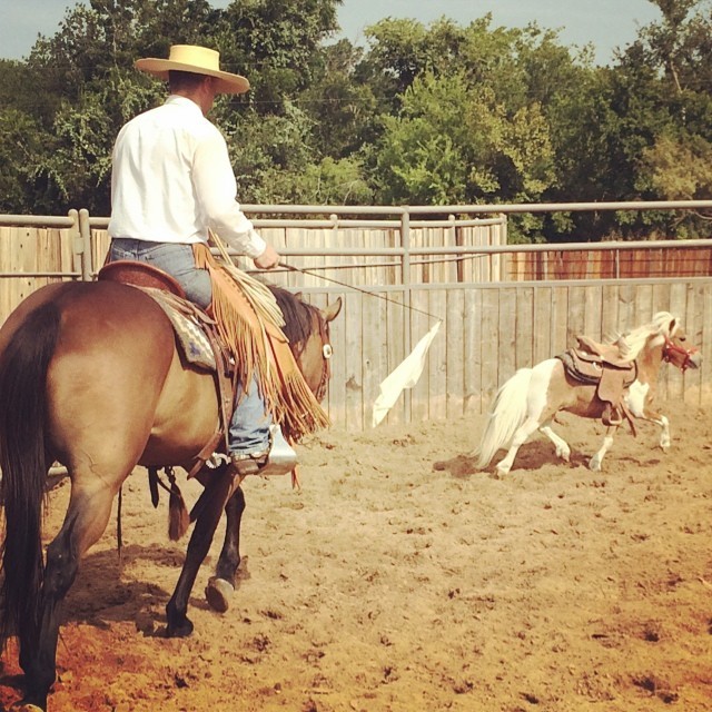 Warming up the ponies!! #tnthorses #tntranch #pony (at TnT Ranch & Tom Davis Horsemanship)