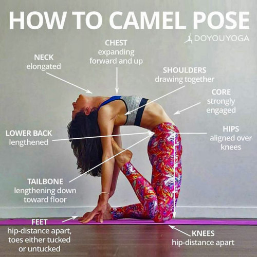 Camel Pose Benefits (USTRASANA) ➡ www.ahealthblog.com/yxfj