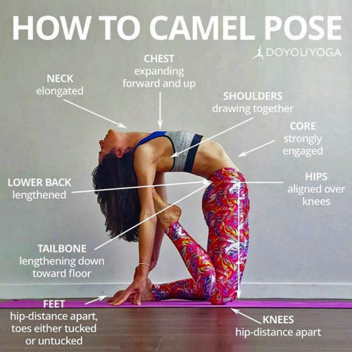 Camel Pose Benefits (USTRASANA) ➡ tblr.ahealthblog.com/tsmm