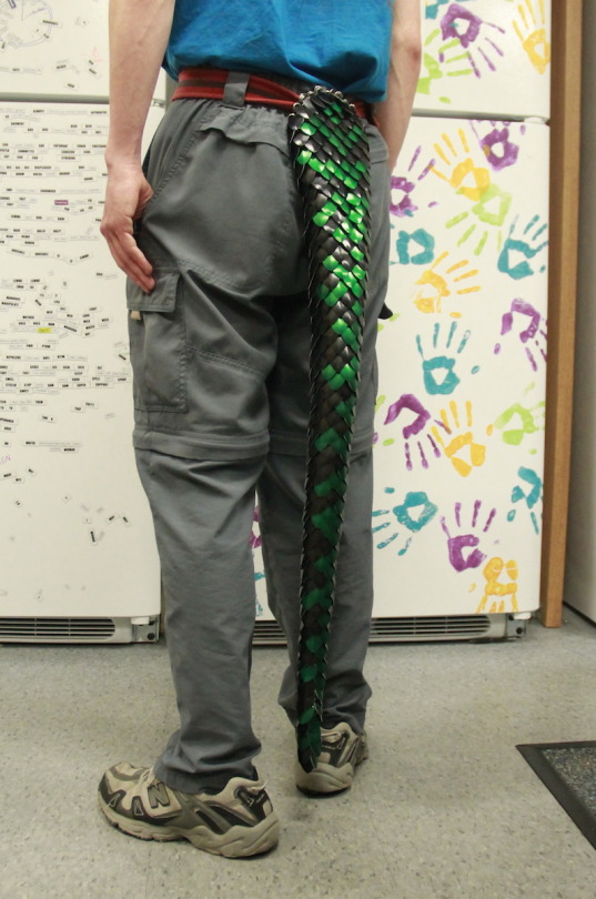 Do You Want To Be An Eighteen-foot-tall, Literal Five-headed Dragon?!?