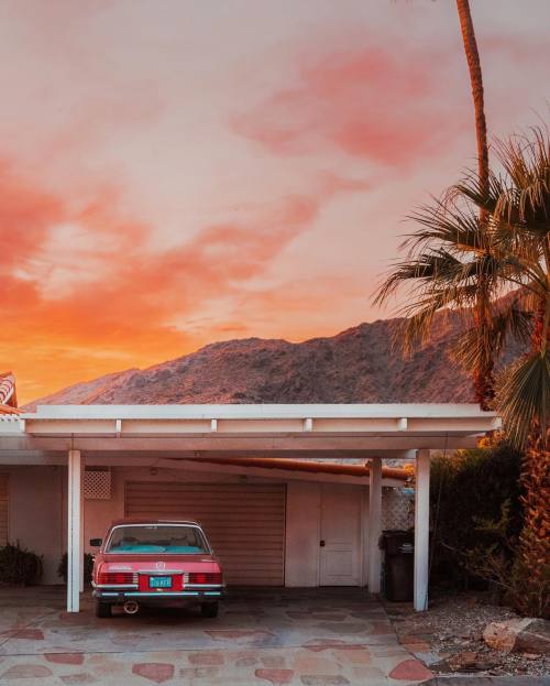 nevver: Palm Springs Sunday, Ludwig Favre