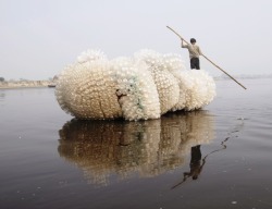 ipocrisia:  Anne Percoco, Indra’s Cloud, 2008 