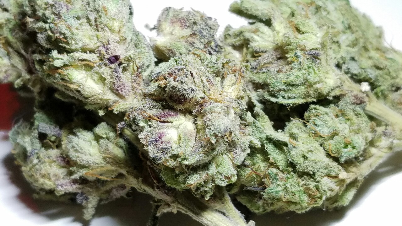 420stationusa:  Stay High And Check Out Our Store Here!!