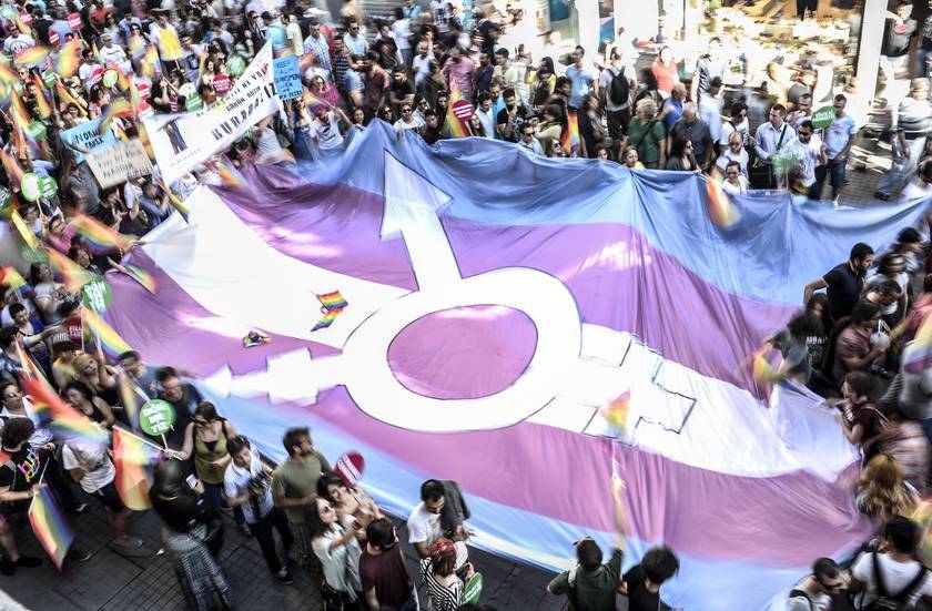 bi-trans-alliance:  March 31 is Trans Day of Visibility  