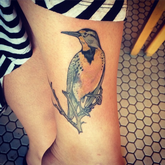 Tommy Altman  Western Meadowlark piece  Meadowlark tattoo Tattoos  Bridge tattoo