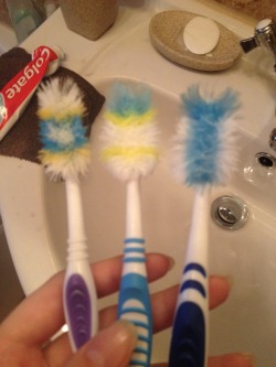 Xv7:  Dogwithhat:  My Brothers Toothbrushes Over The Past Month Why Is He So Angry