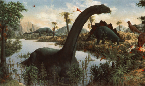 Scientific Illustration