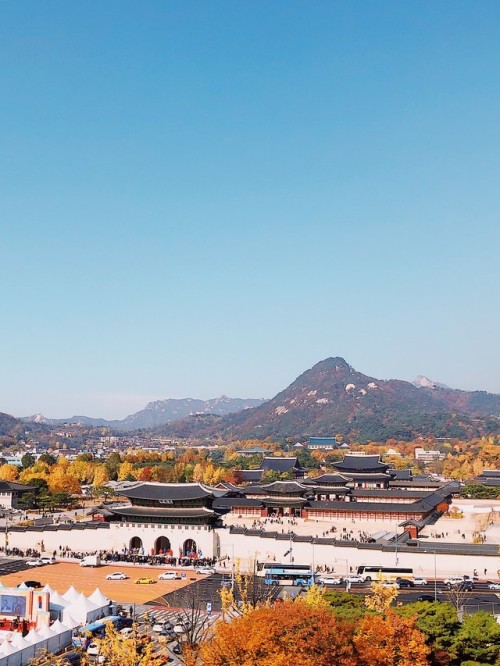 Gyeongbokgung autumn.