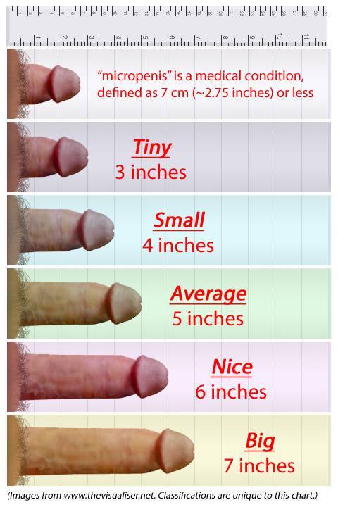 Average 6 inch penis