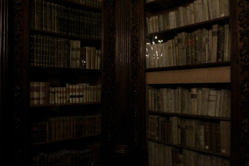 hergracesathenaeum:The Pisani Library my photography