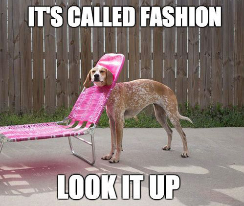 tastefullyoffensive:  [via/maddieonthings]
