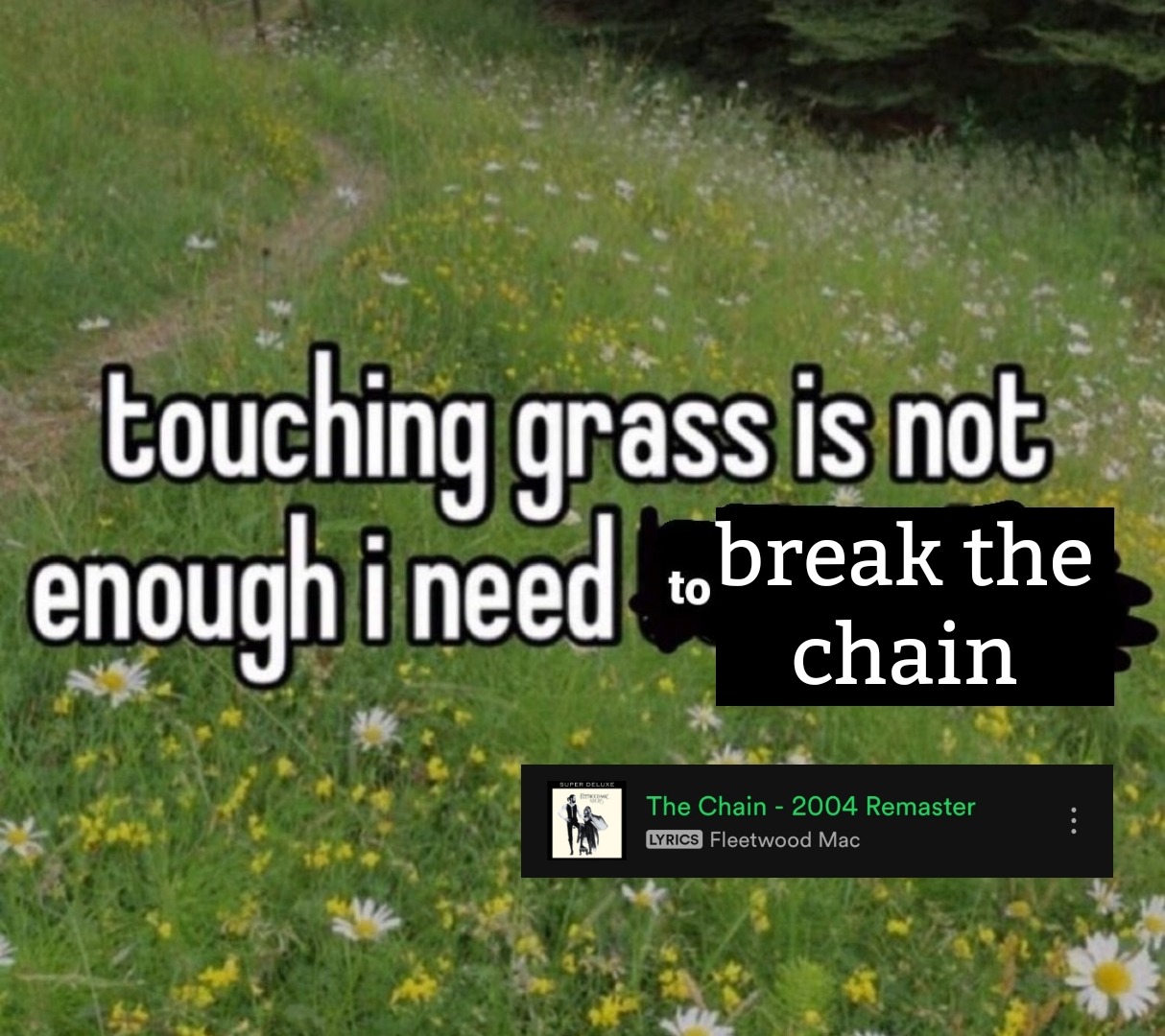 touching grass is not enough i need to break the chain