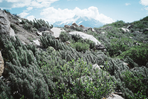 Cold, snow, and glacier wait ahead.