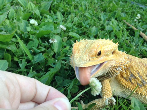 yeahponcho: she slurp!